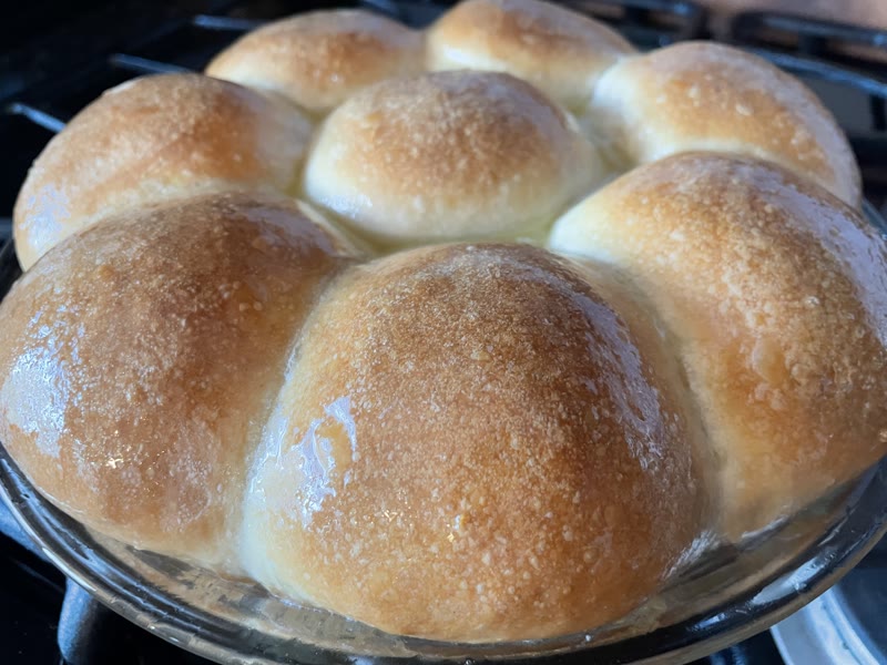 Golden sourdough dinner rolls in a baking dish